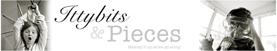 ittybits and pieces blog by siobhan connolly